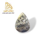 نگین فسیل مرجان (کد 10)