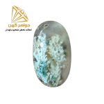 نگین شجر بهاری (کد 70)