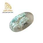 نگین شجر بهاری (کد 70) - Image 3