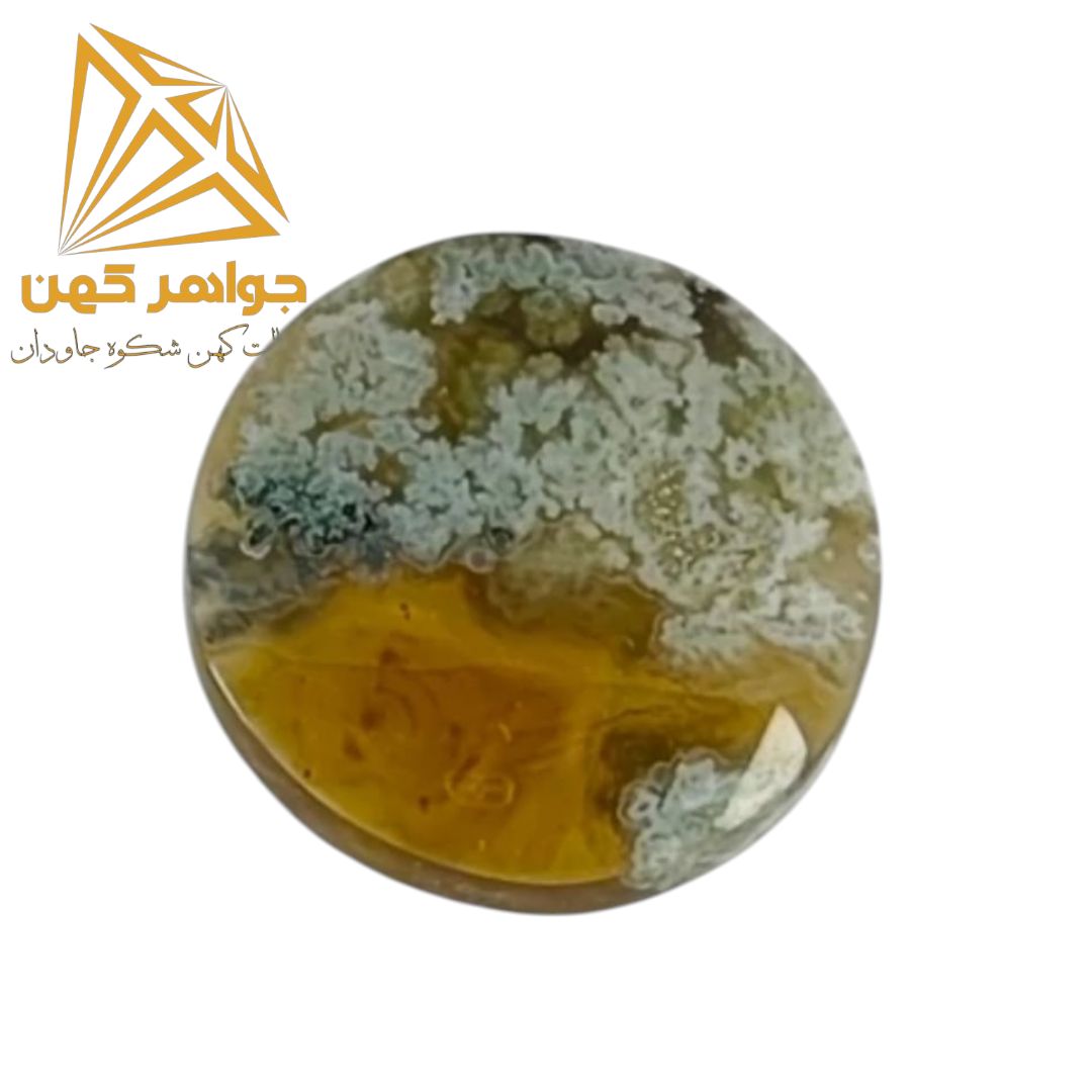 98a3b5 (1) نگین شجر پاییزی کد(۶۹) - Image 1