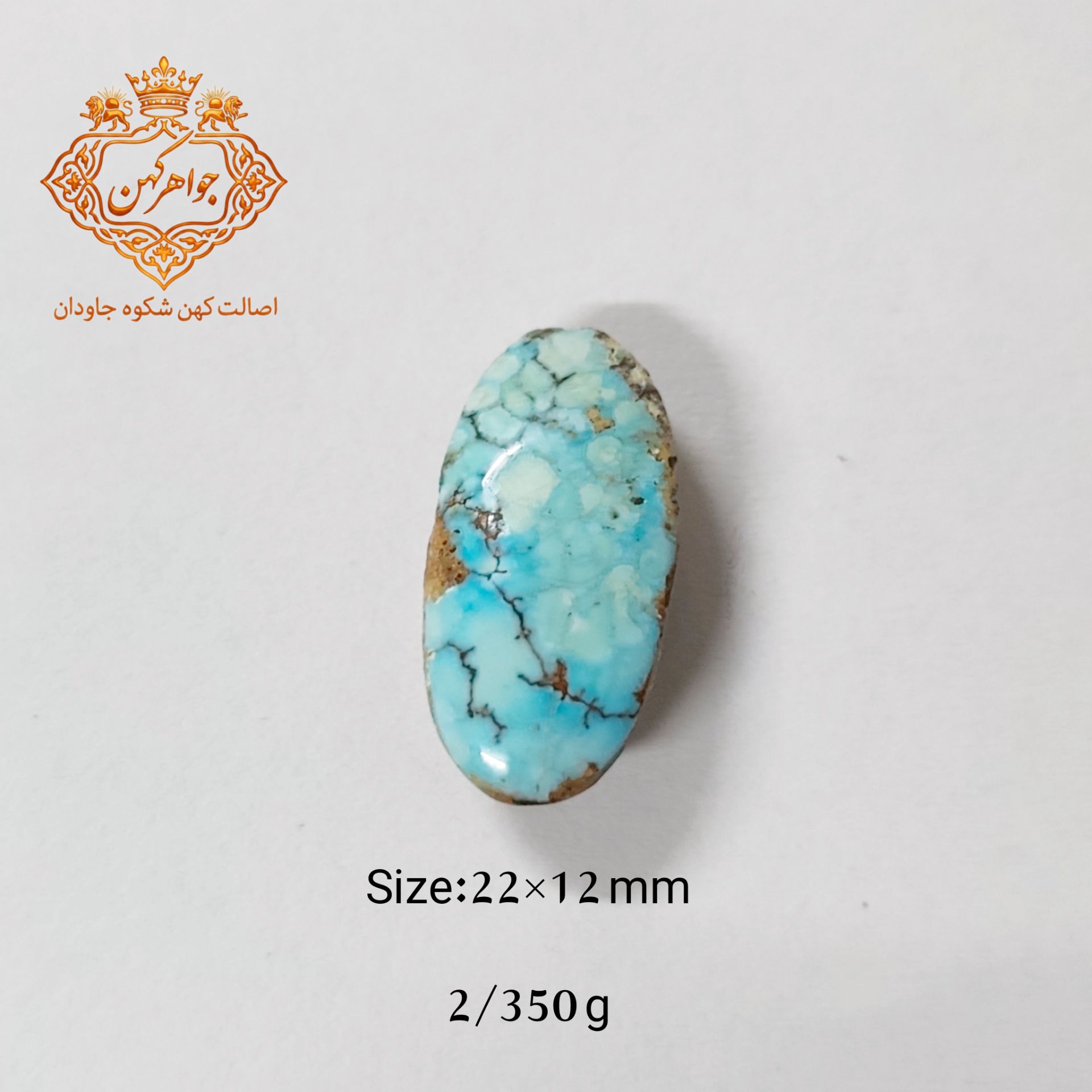 InShot_20260417_195020273 فیروزه نیشابور (کد ۱۲۱) فیروزه ابی - Image 1
