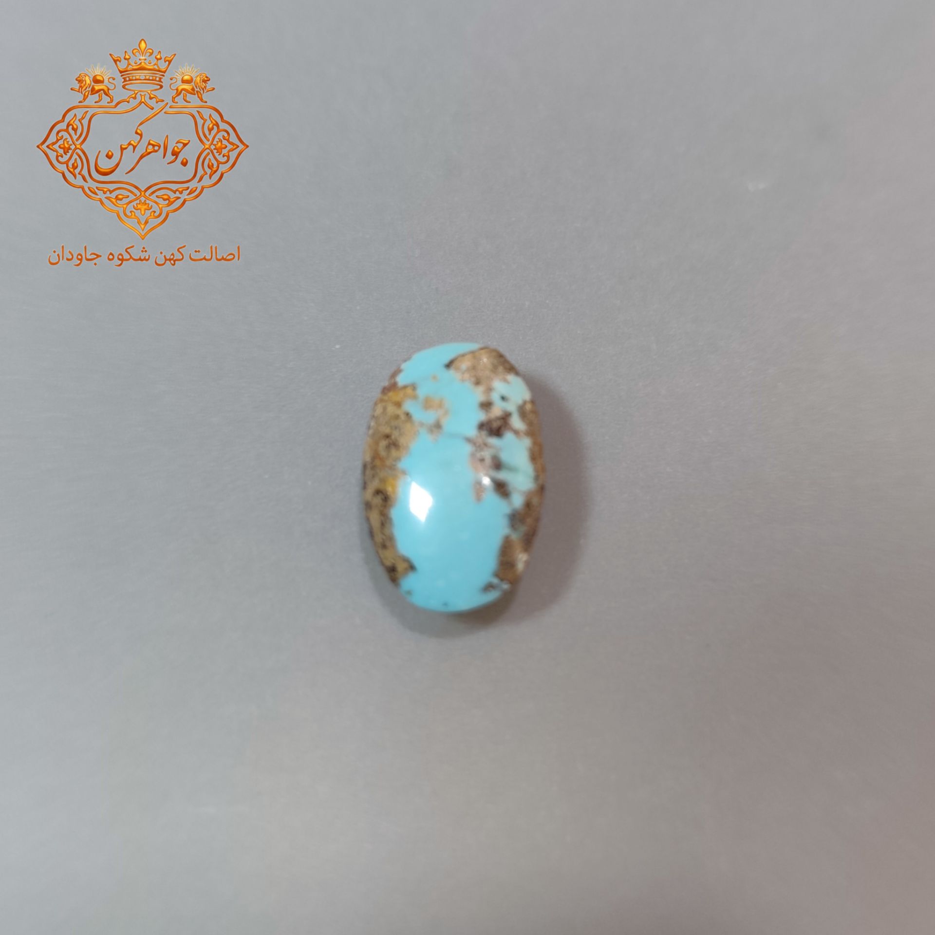InShot_20260419_113932415 (1) فیروزه نیشابور (کد 128) فیروزه اب - Image 1