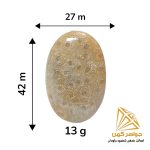 نگین فسیل مرجان (کد ۲) - Image 2