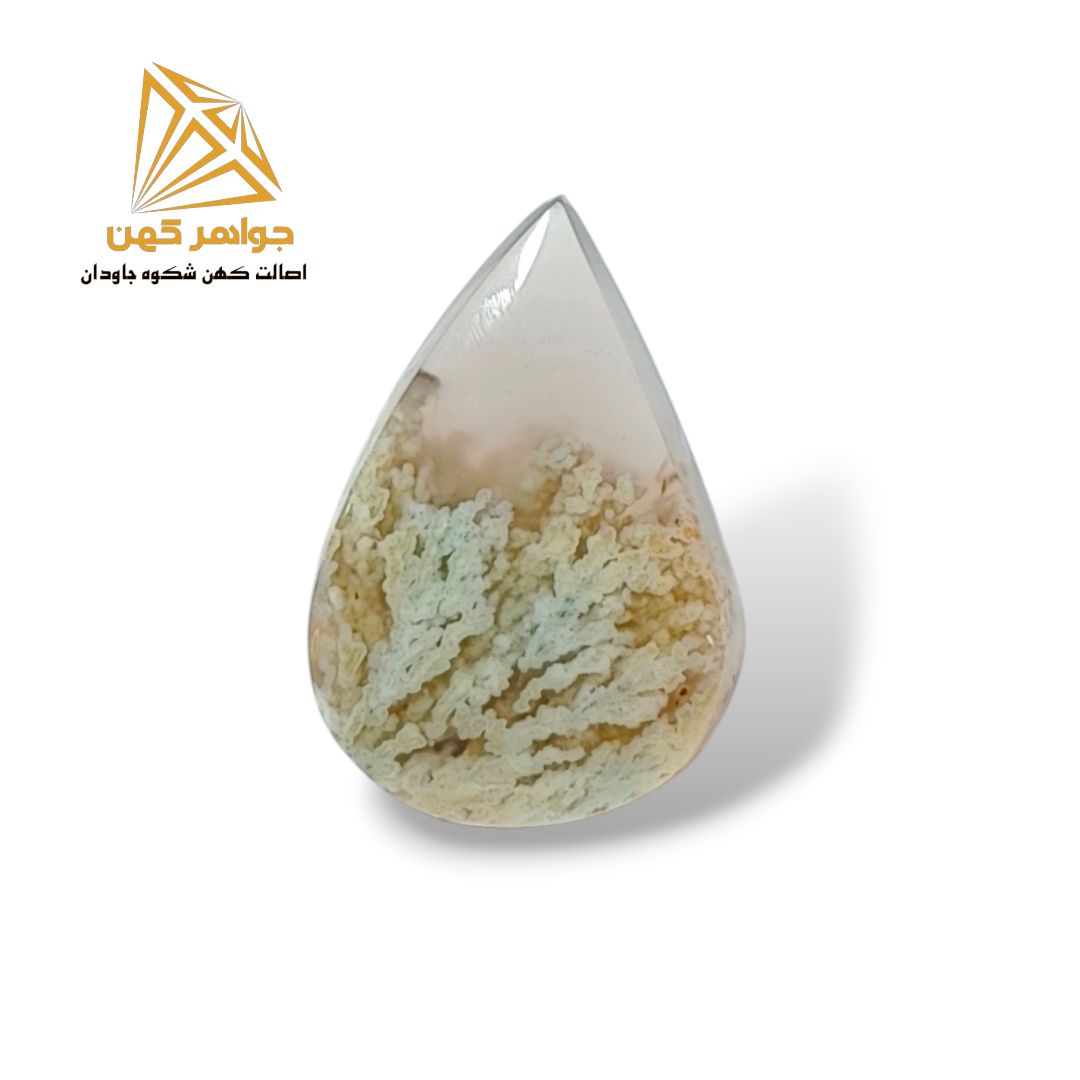 dcc950 (1) نگین شجر زمستانی (کد۸۰) - Image 1