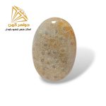 نگین فسیل مرجان (کد ۲)