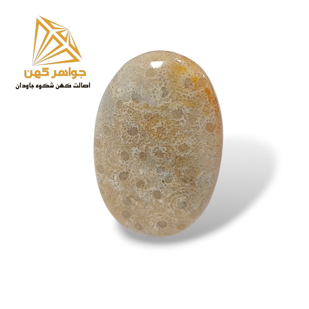 de1c2d (1) نگین فسیل مرجان (کد ۲) - Image 1