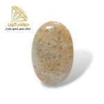 نگین فسیل مرجان (کد ۲) - Image 4